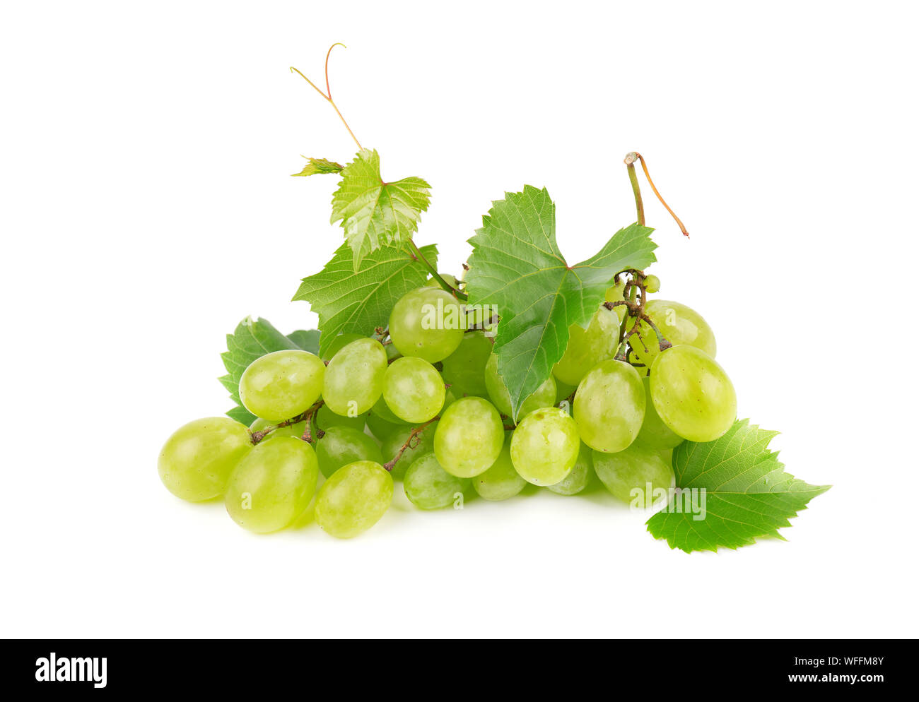 Green grape with leaves isolated on white background Stock Photo - Alamy