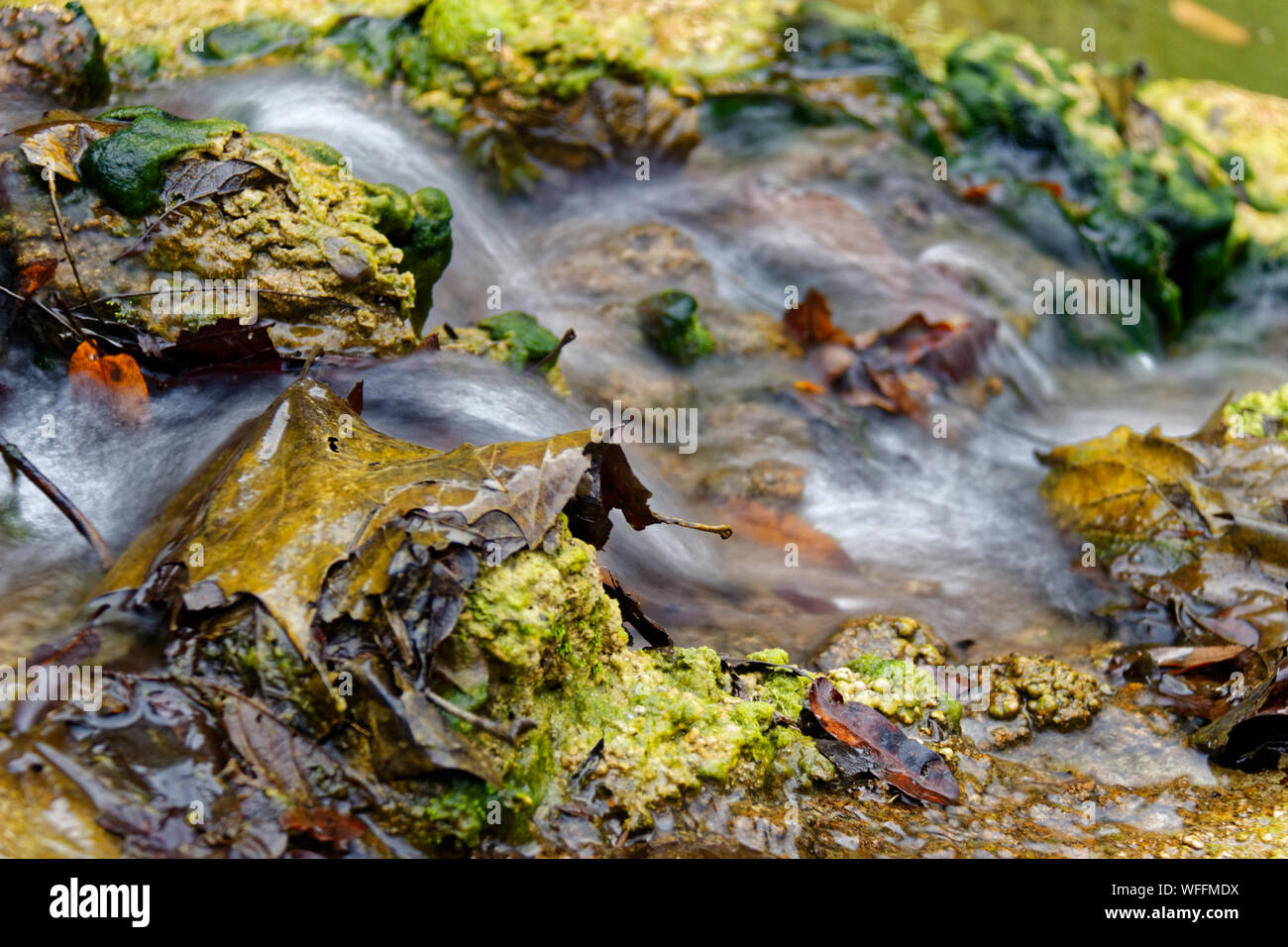 Stream And Mossy Rocks High Resolution Stock Photography and Images - Alamy
