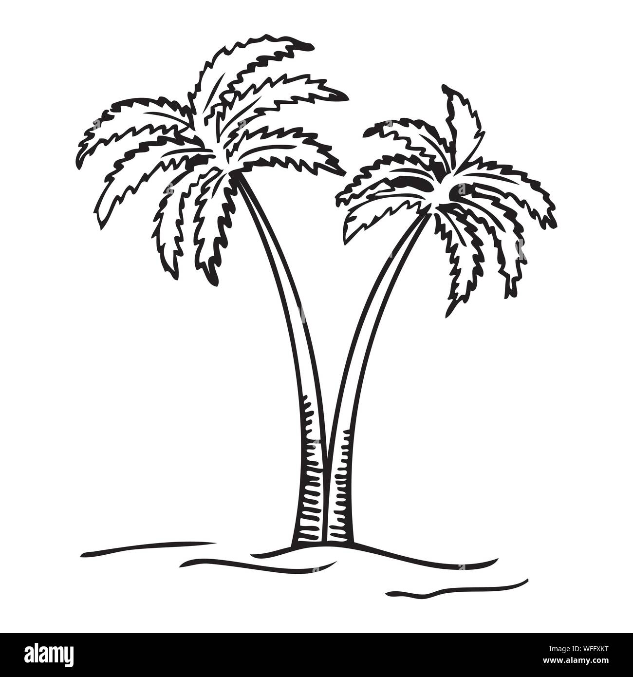 Black and white vector illustration of palm tree Stock Vector Image