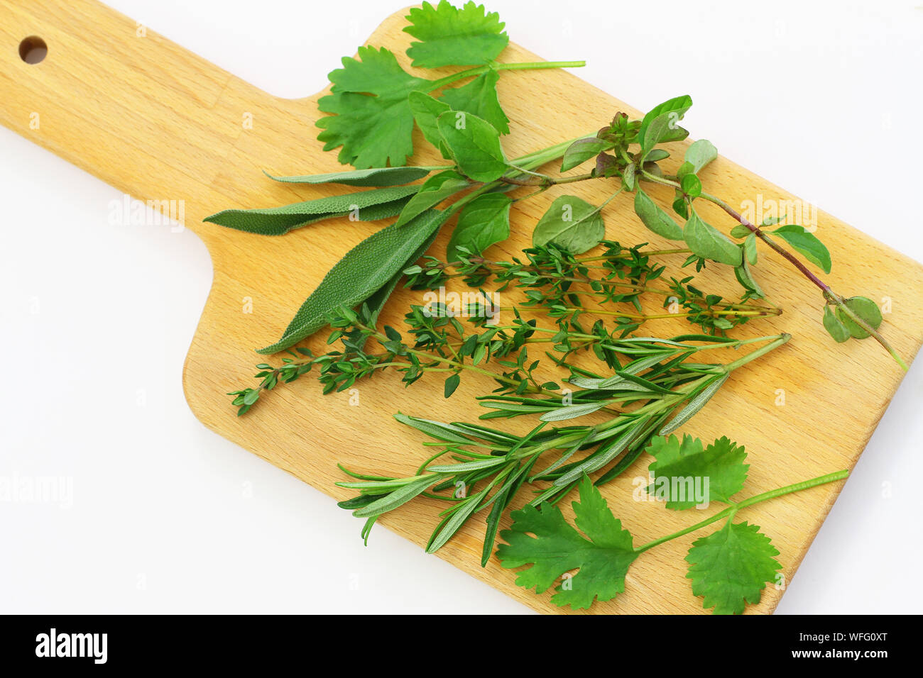 Fresh herbs on wooden board on white background (coriander, thyme, rosemary, sage) Stock Photo