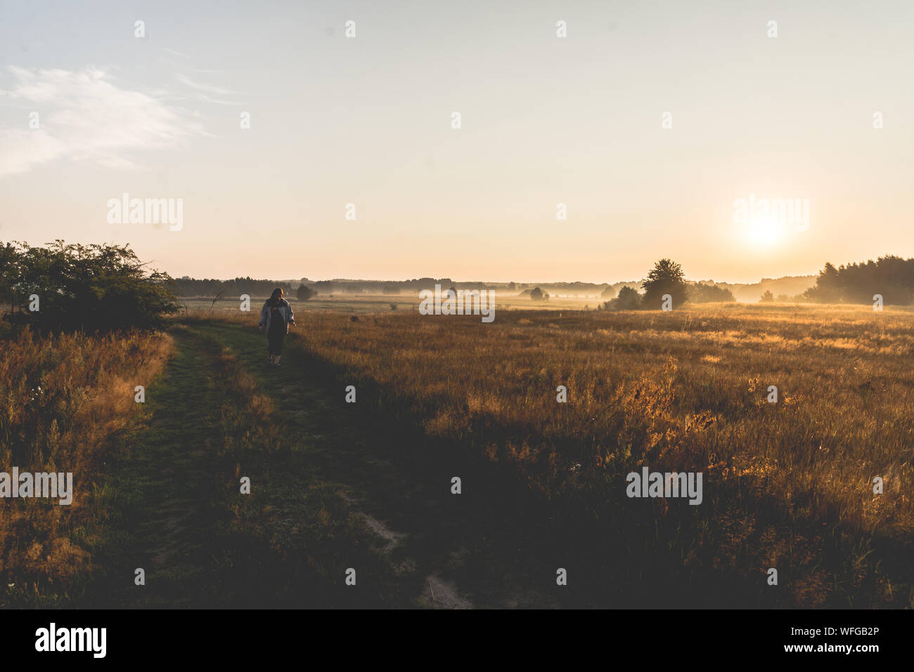 morning on meadow. sunrise landscape photo with vintage effect Stock ...