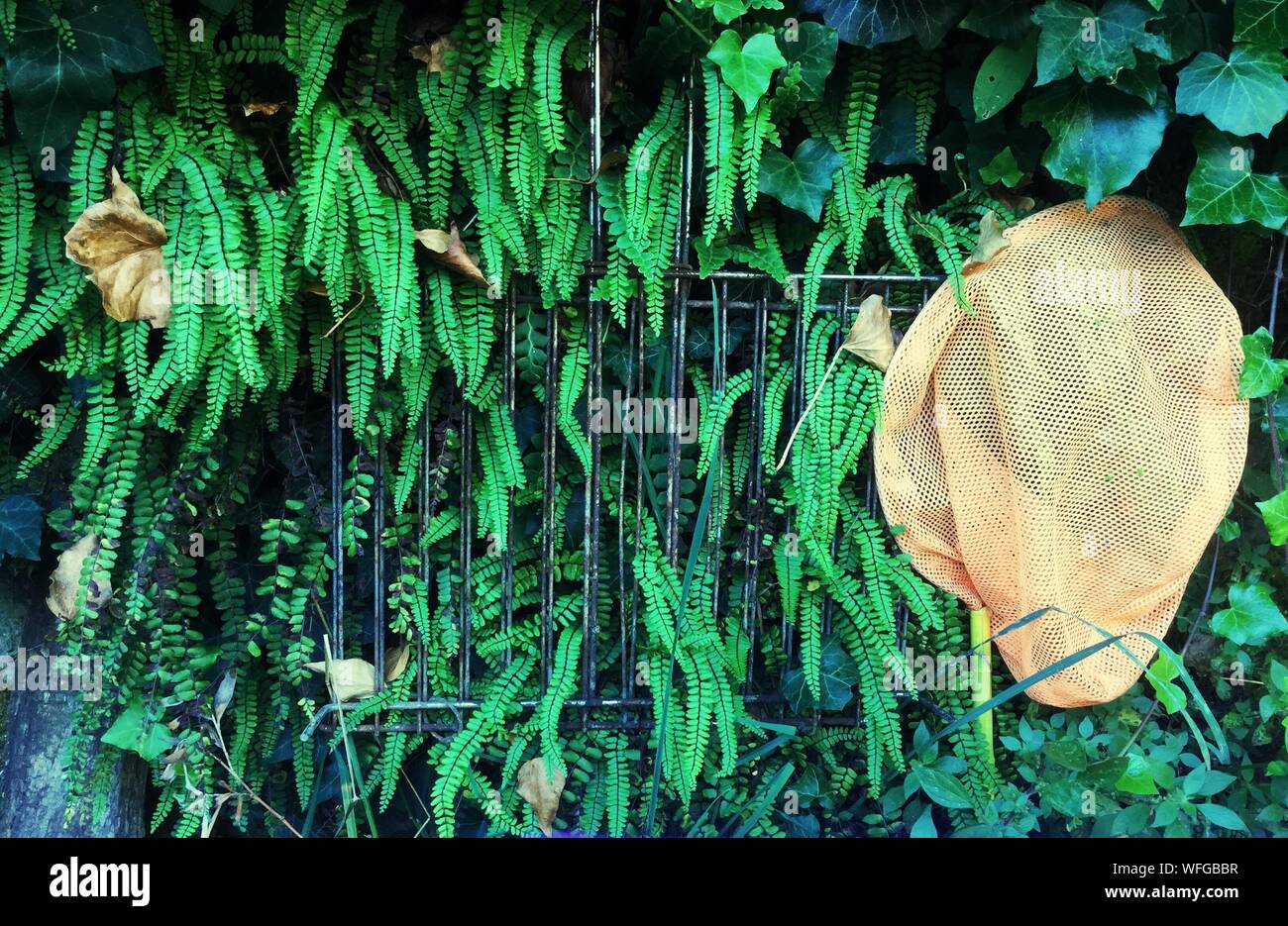 Hanging net people hires stock photography and images Alamy