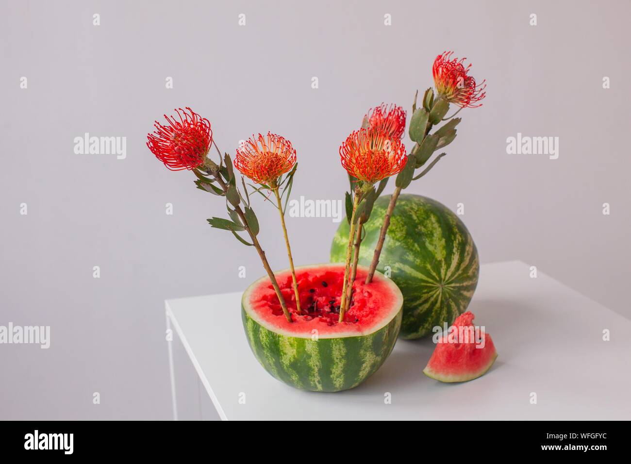 Protea flower arrangement in a watermelon Stock Photo