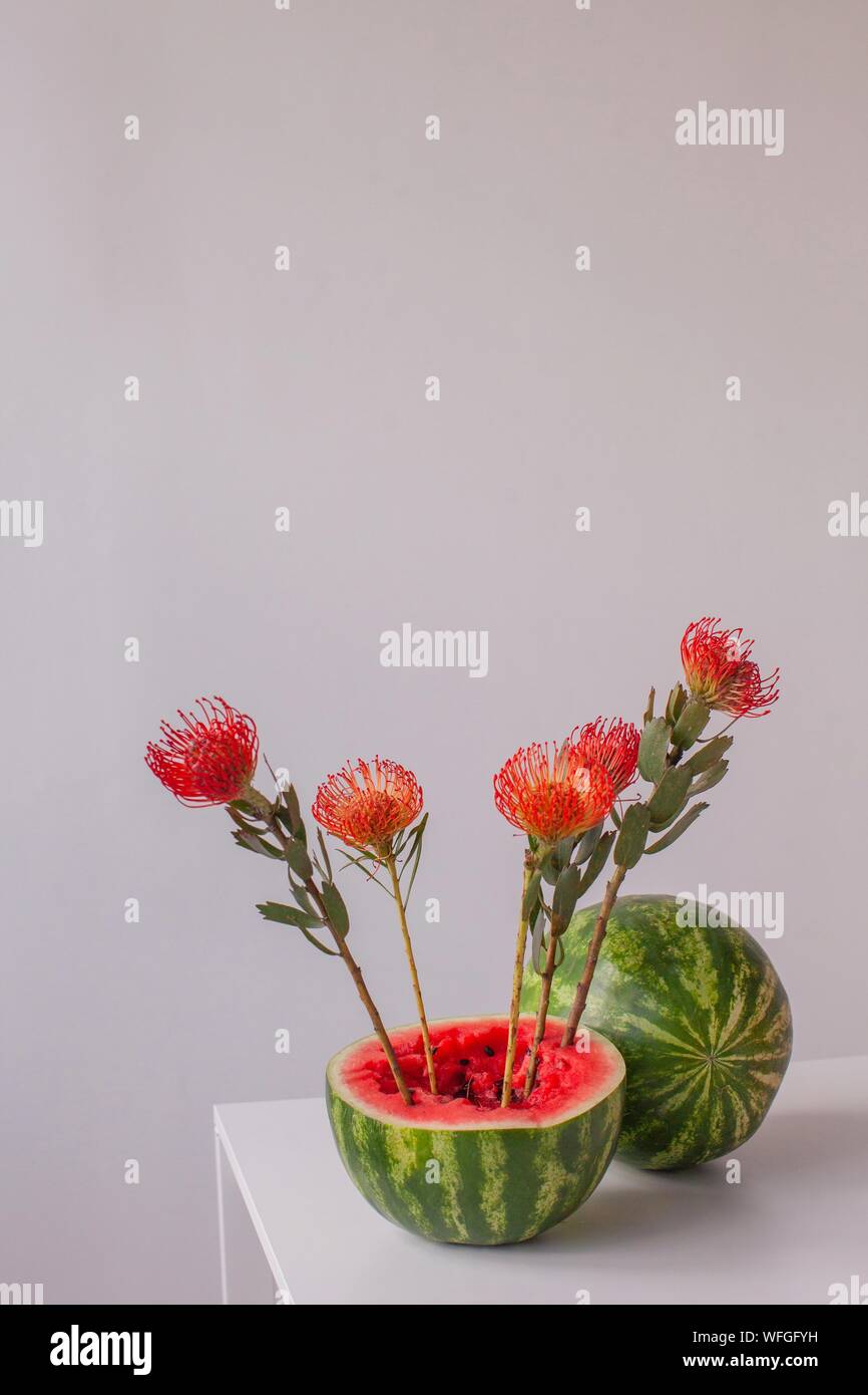 Protea flowers in a watermelon Stock Photo