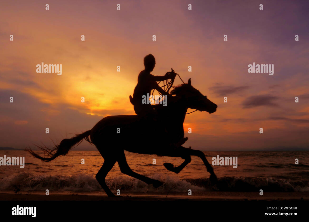 horse and rider silhouette sunset