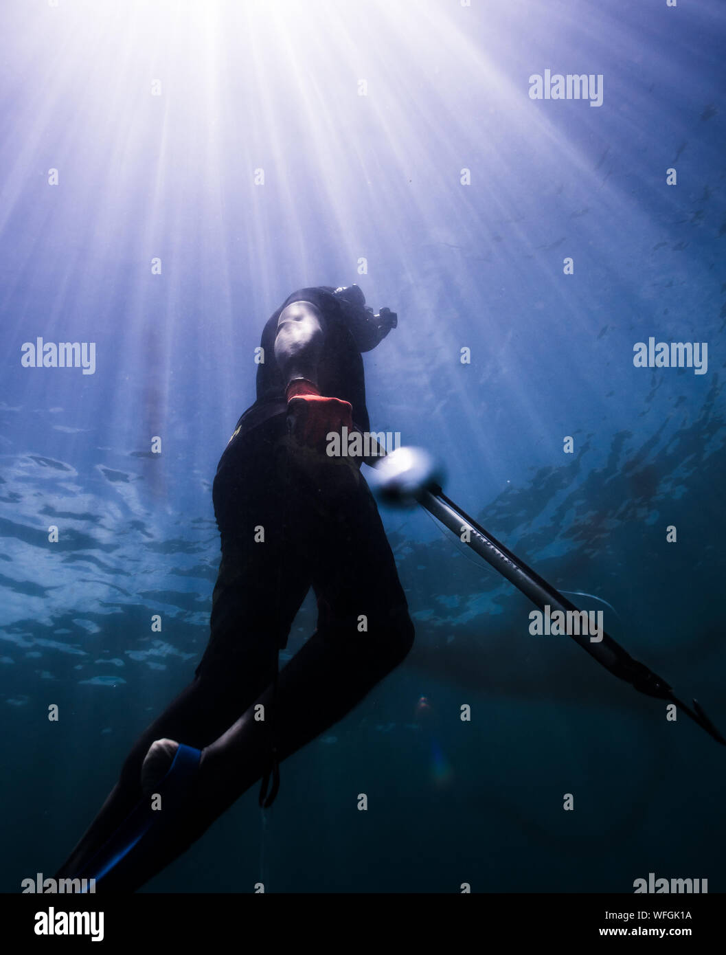 Spear+fishing hi-res stock photography and images - Page 4 - Alamy
