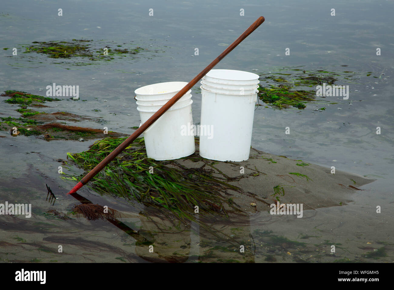 Clamming buckets and rake in Alsea Bay, Waldport, Oregon Stock Photo
