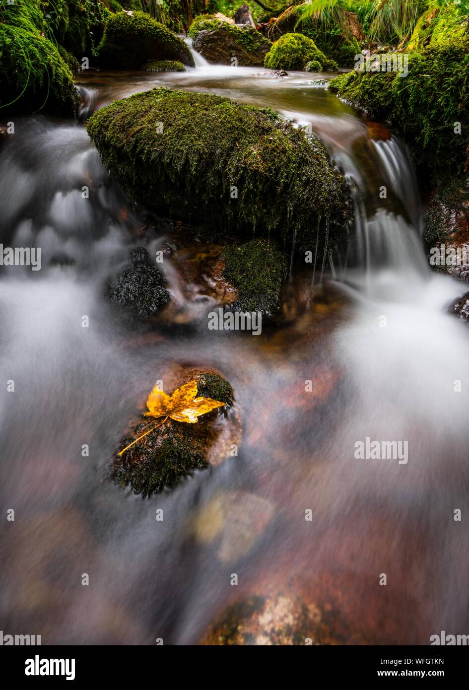 Stream And Mossy Rocks High Resolution Stock Photography and Images - Alamy