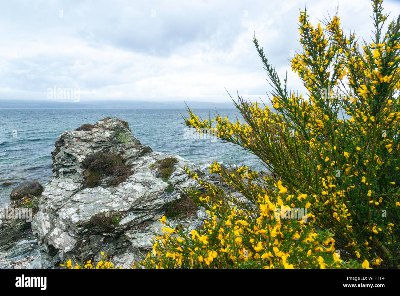 Rural Landscape Isle Of Arran Scotland United Kingdom Stock