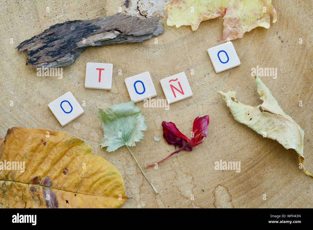 the-spanish-word-otono-in-letters-leaves-around-on-a-wooden-background