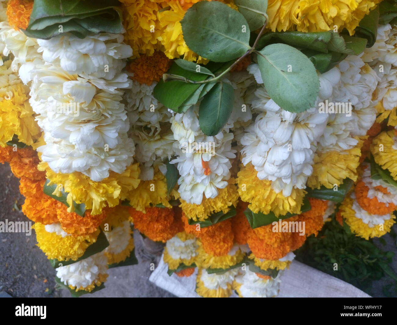 Marigold Garland High Resolution Stock Photography and Images Alamy