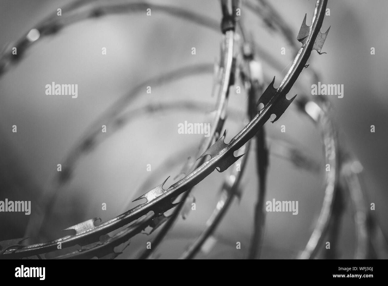 Concertina wire Black and White Stock Photos & Images Alamy
