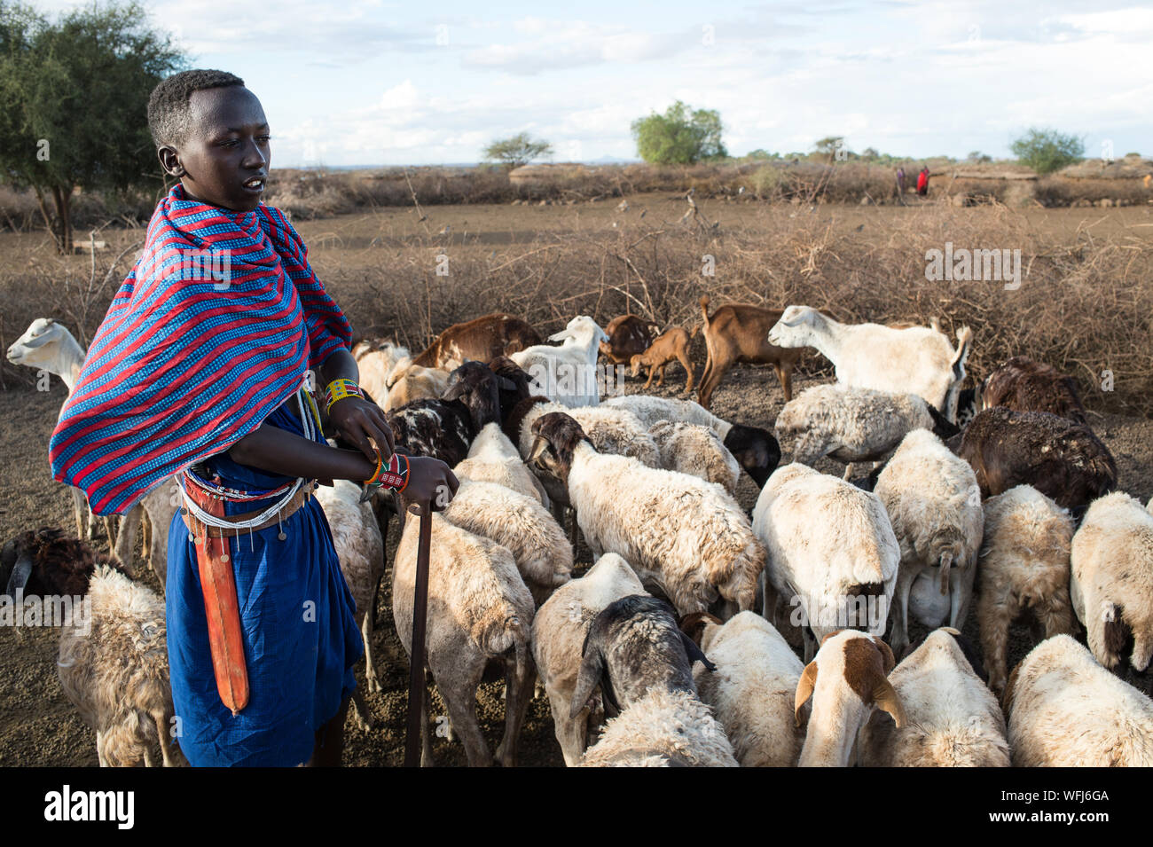 Masai Tribe shepherds, Amboseli National Park, Kenya, Africa Stock Photo