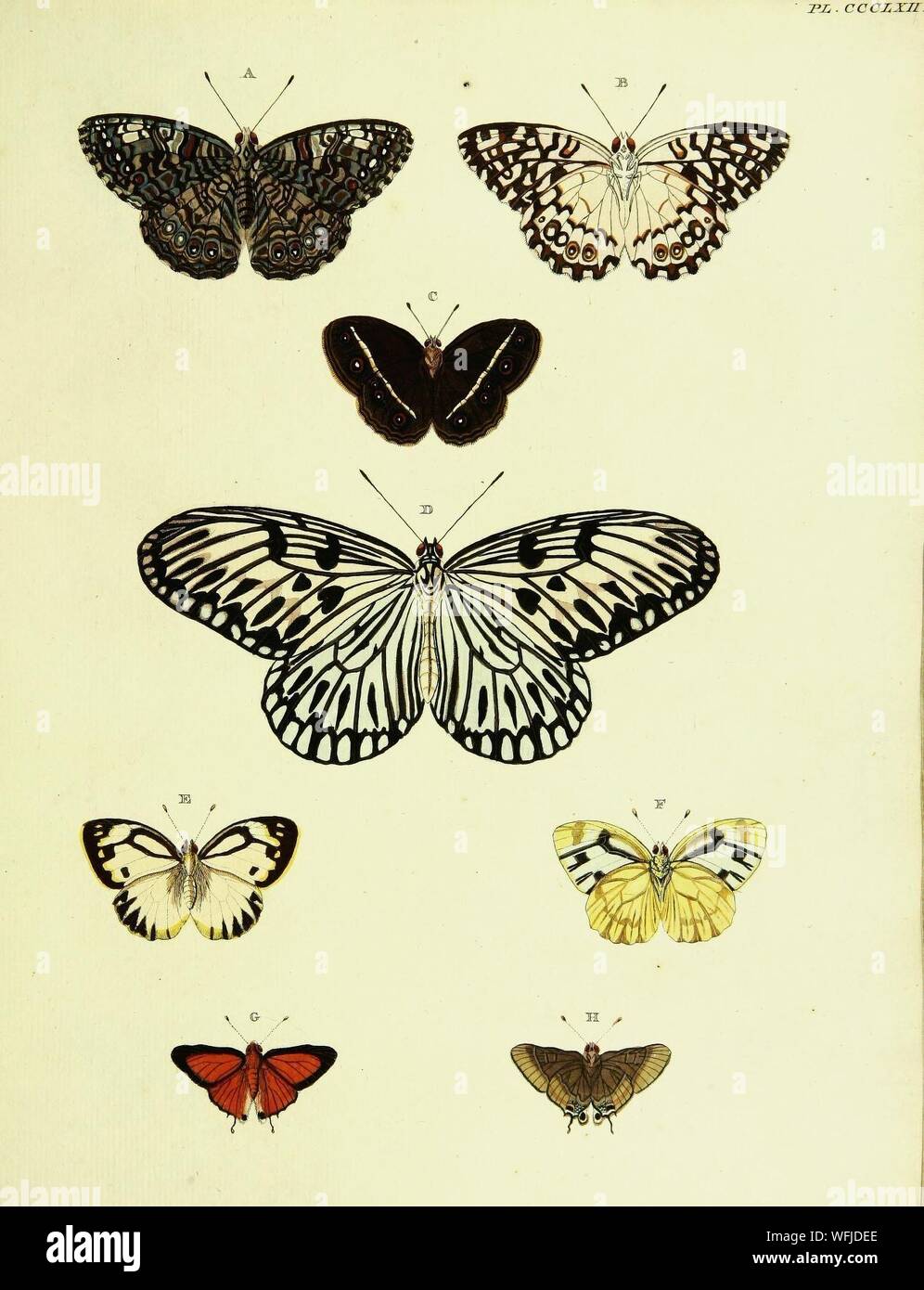 Vintage Retro Old Photograph Century 1900s Graphics Antique Classic History Historic Historical Archival Archive Nostalgia Nostalgic Old Fashioned Old Fashion Popular Bw Black And White Past Past Times Past Time Sepia Tone