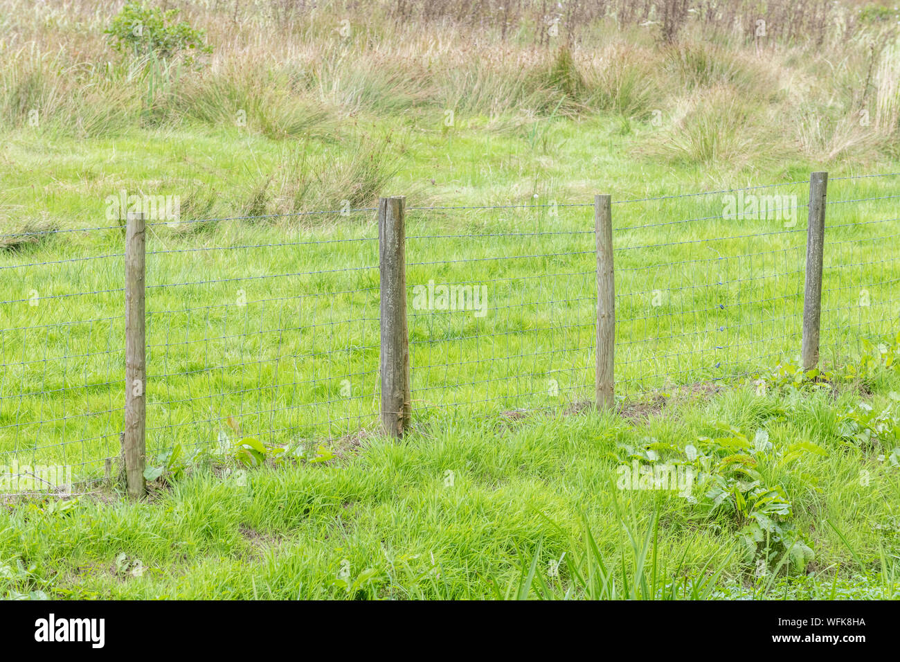 Farm fence line / cattle fencing off field. Mixes barbed wire & smooth steel mesh. Barrier, penned in, restricted movement, hold the line concept Stock Photo