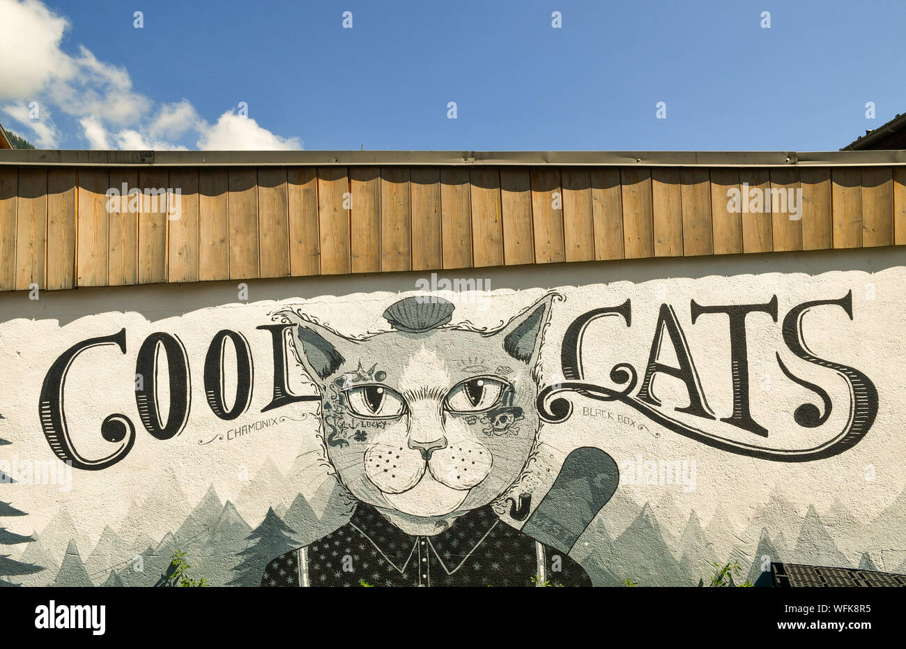 Close-up of a wall painting depicting a smartly dressed cat in comic style with the words 'Cool Cats', Chamonix-Mont-Blanc, Haute Savoie, France Stock Photo