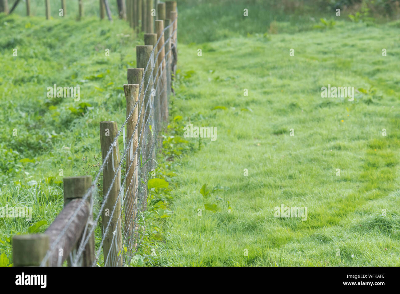 Farm fence line / cattle fencing off field. Mixes barbed wire & smooth steel mesh. Barrier, penned in, restricted movement, hold the line concept Stock Photo