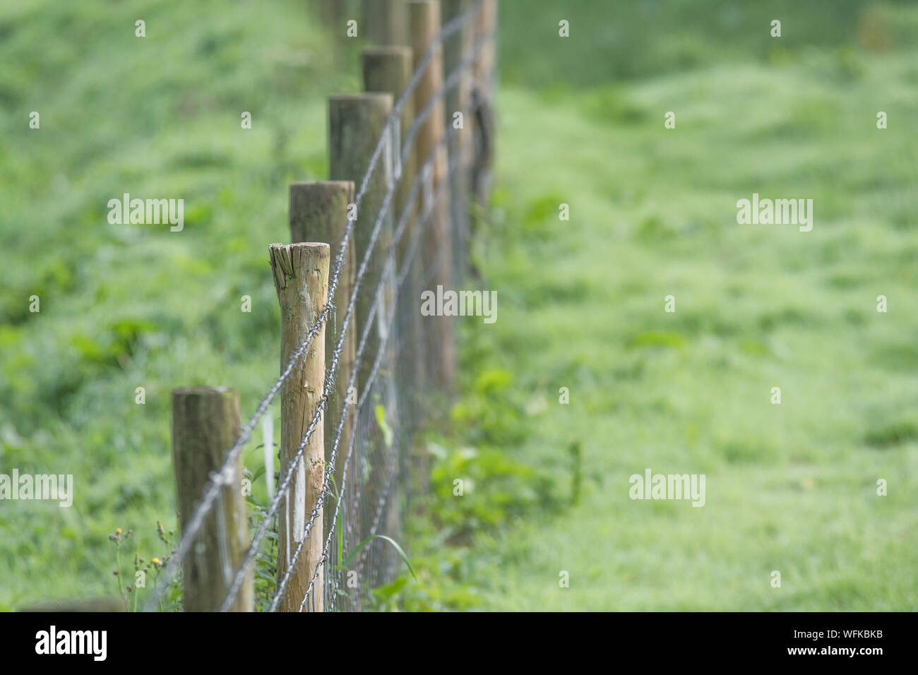 Farm fence line / cattle fencing off field. Mixes barbed wire & smooth steel mesh. Barrier, penned in, restricted movement, hold the line concept Stock Photo