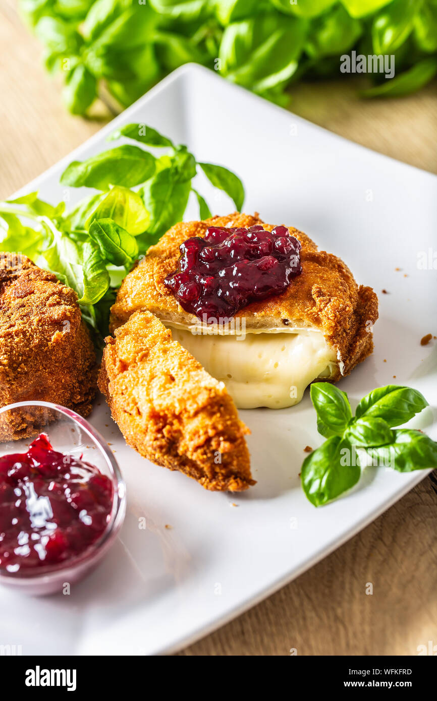 Fried camembert or brie cheese with cranberry jam and basil Stock Photo