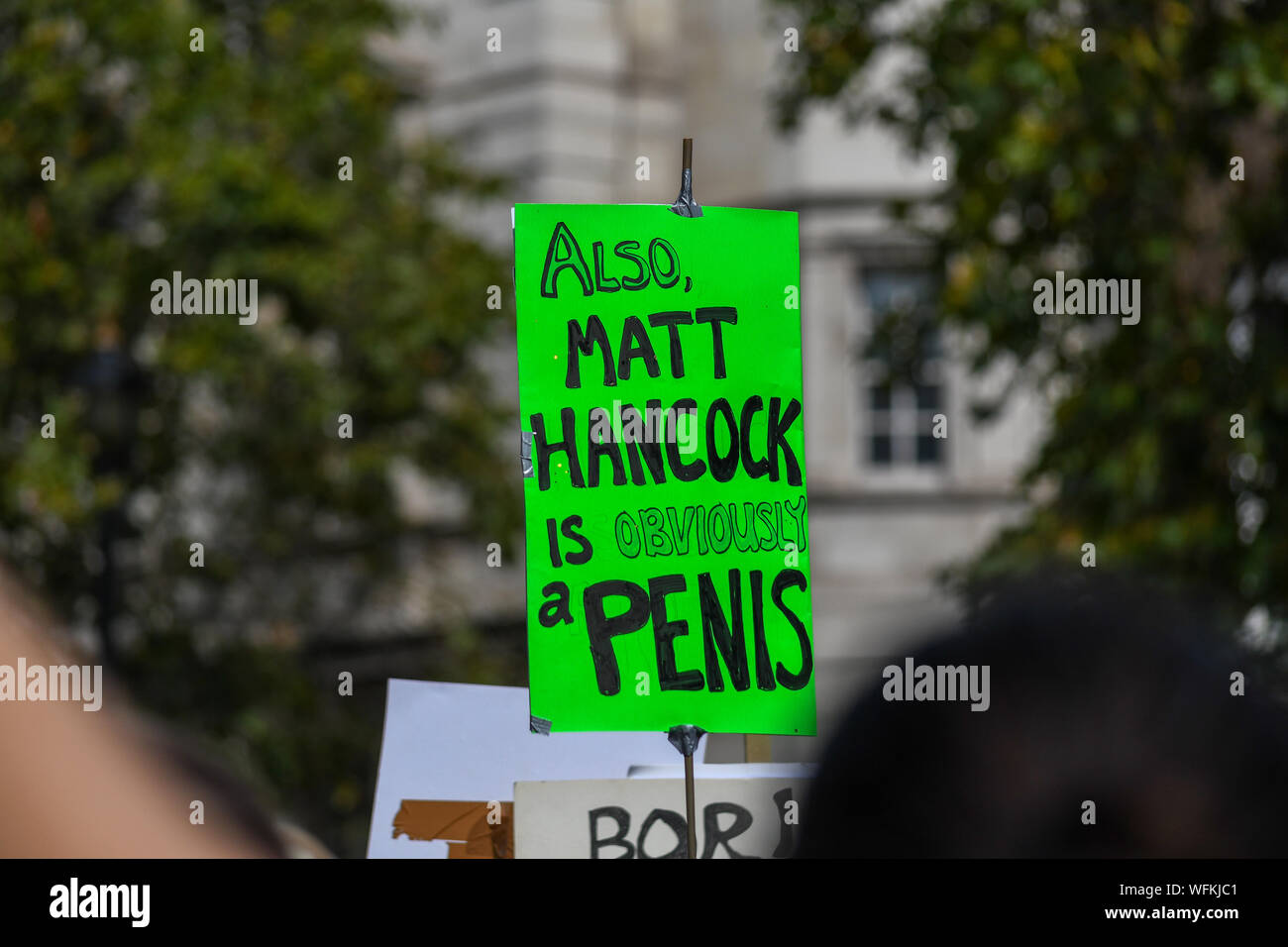 March in London to stop the shut down of Parliament on 31st August 2019. Taking place in front of Downing street down Whitehall, around 50,000 took part. Stock Photo