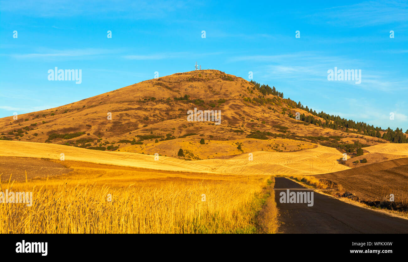 Washington, Palouse Region, Steptoe Butte State Park, wheat fields fall season after harvest Stock Photo
