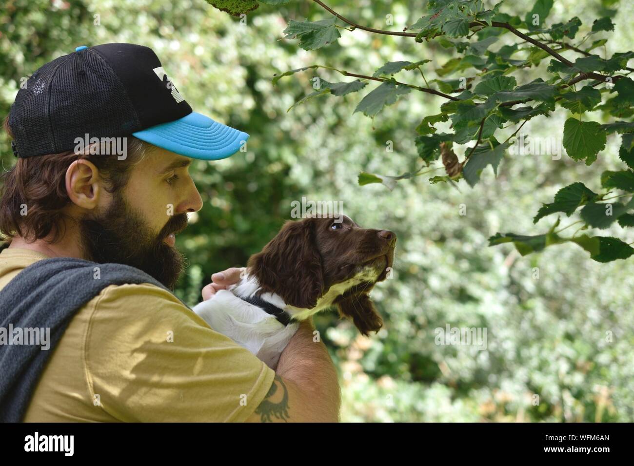 Springer Spaniel And Owner High Resolution Stock Photography and Images ...