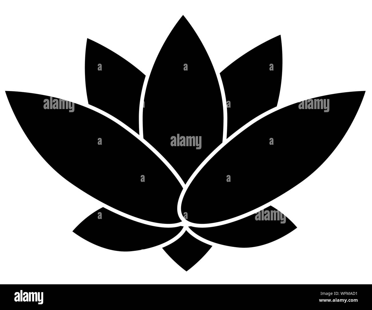 White lotus flower black background hires stock photography and images