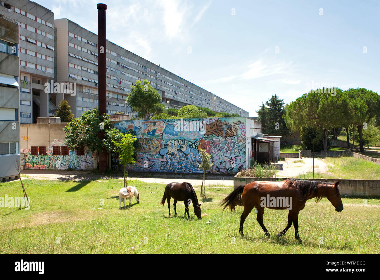 Serpentone Roma Social housing known as Corviale or Serpentone (snake) on the outskirts ...