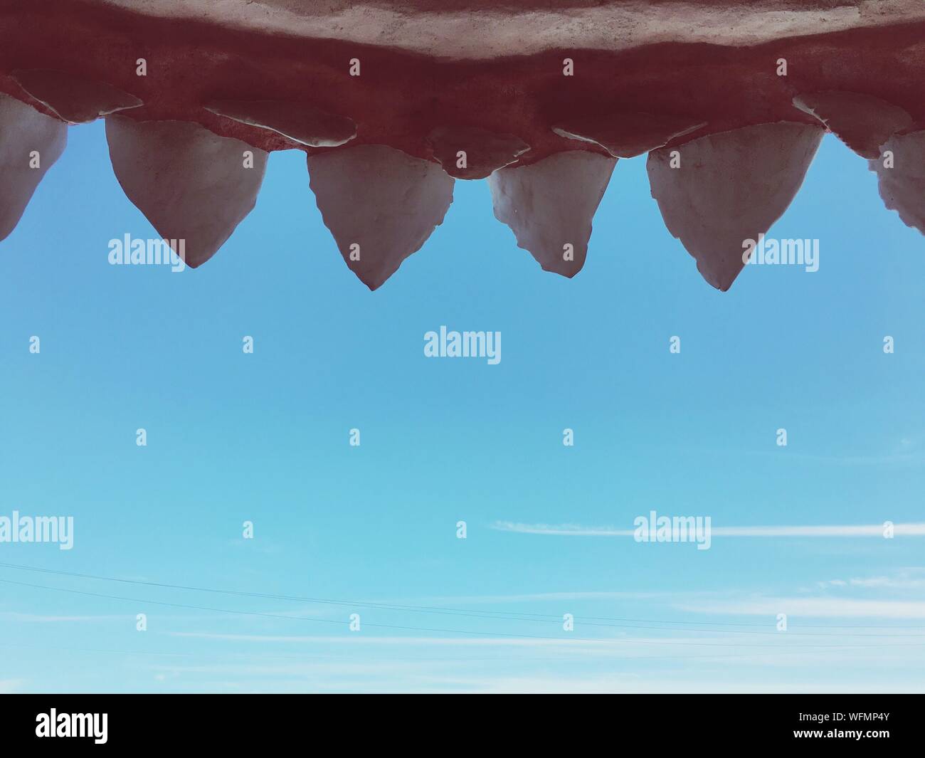Animal mouth hi-res stock photography and images - Alamy
