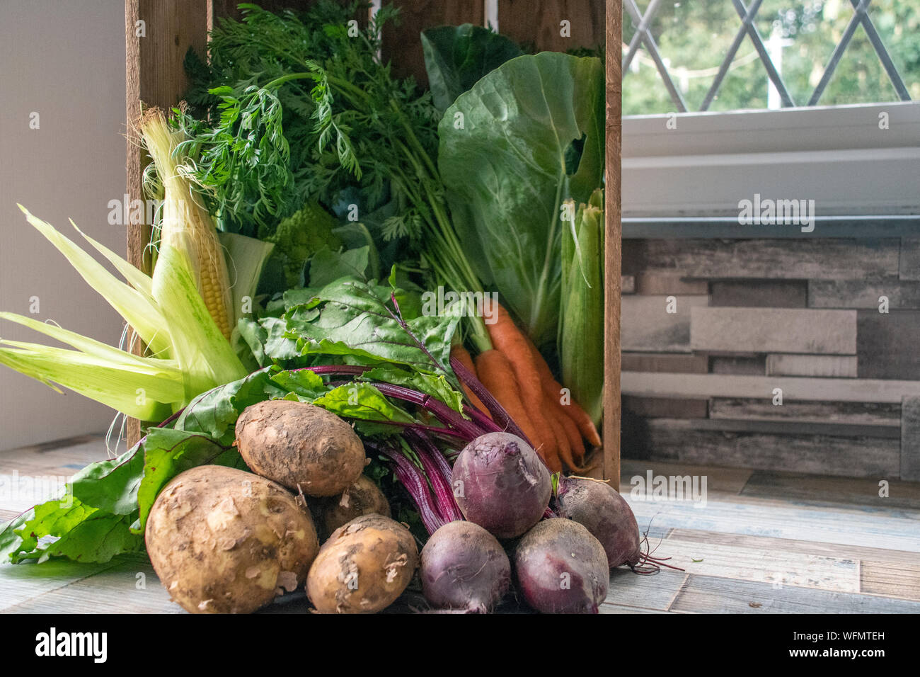 Five a day, healthy lifestyle options. Freshly picked vegetables straight out of the ground and collected. Stock Photo