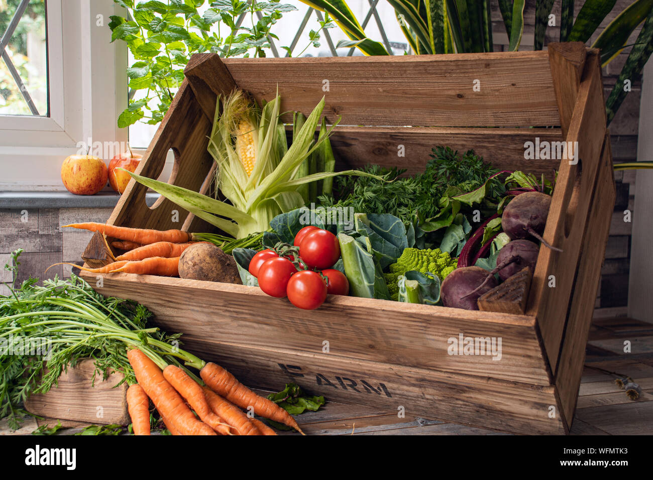 Five a day, healthy lifestyle options. Freshly picked vegetables straight out of the ground and collected. Stock Photo