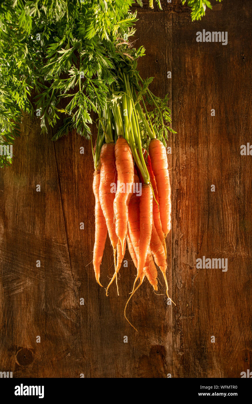 Five a day, healthy lifestyle options. Freshly picked vegetables straight out of the ground and collected. Stock Photo