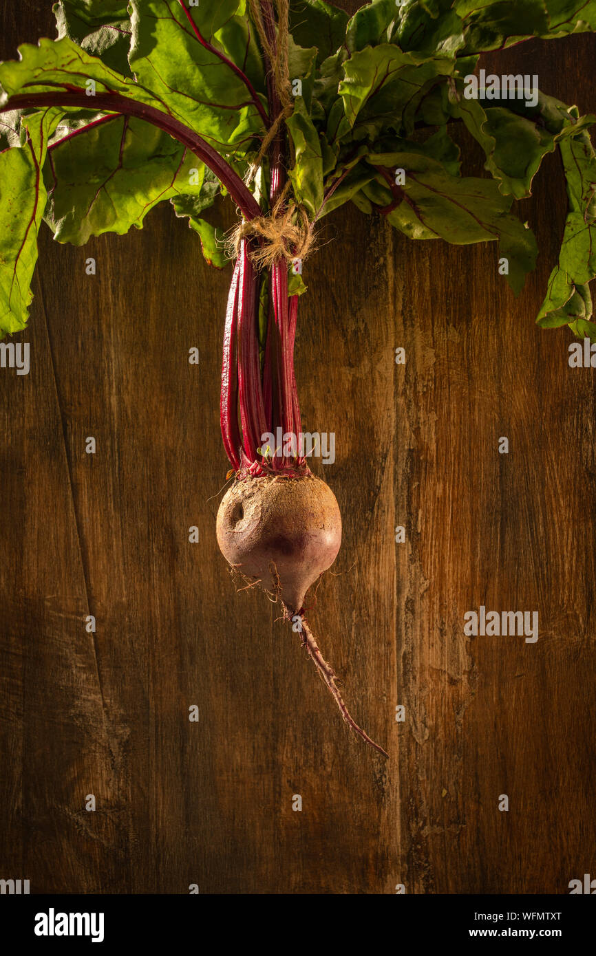 Five a day, healthy lifestyle options. Freshly picked vegetables straight out of the ground and collected. Stock Photo