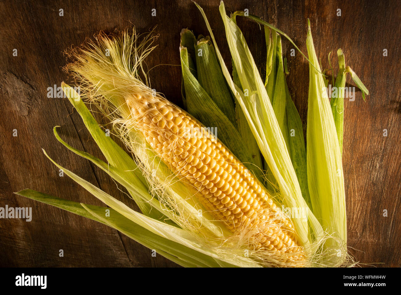 Five a day, healthy lifestyle options. Freshly picked vegetables straight out of the ground and collected. Stock Photo