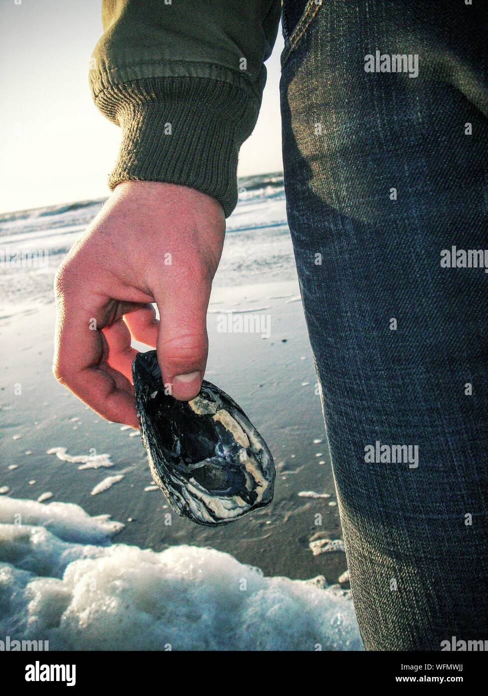 Midsection Of Man Holding Dead Clam At Beach Stock Photo