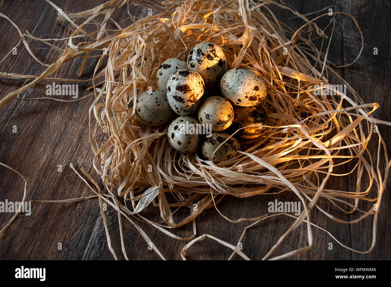 Five a day, healthy lifestyle options. Freshly collected Quail eggs. Stock Photo