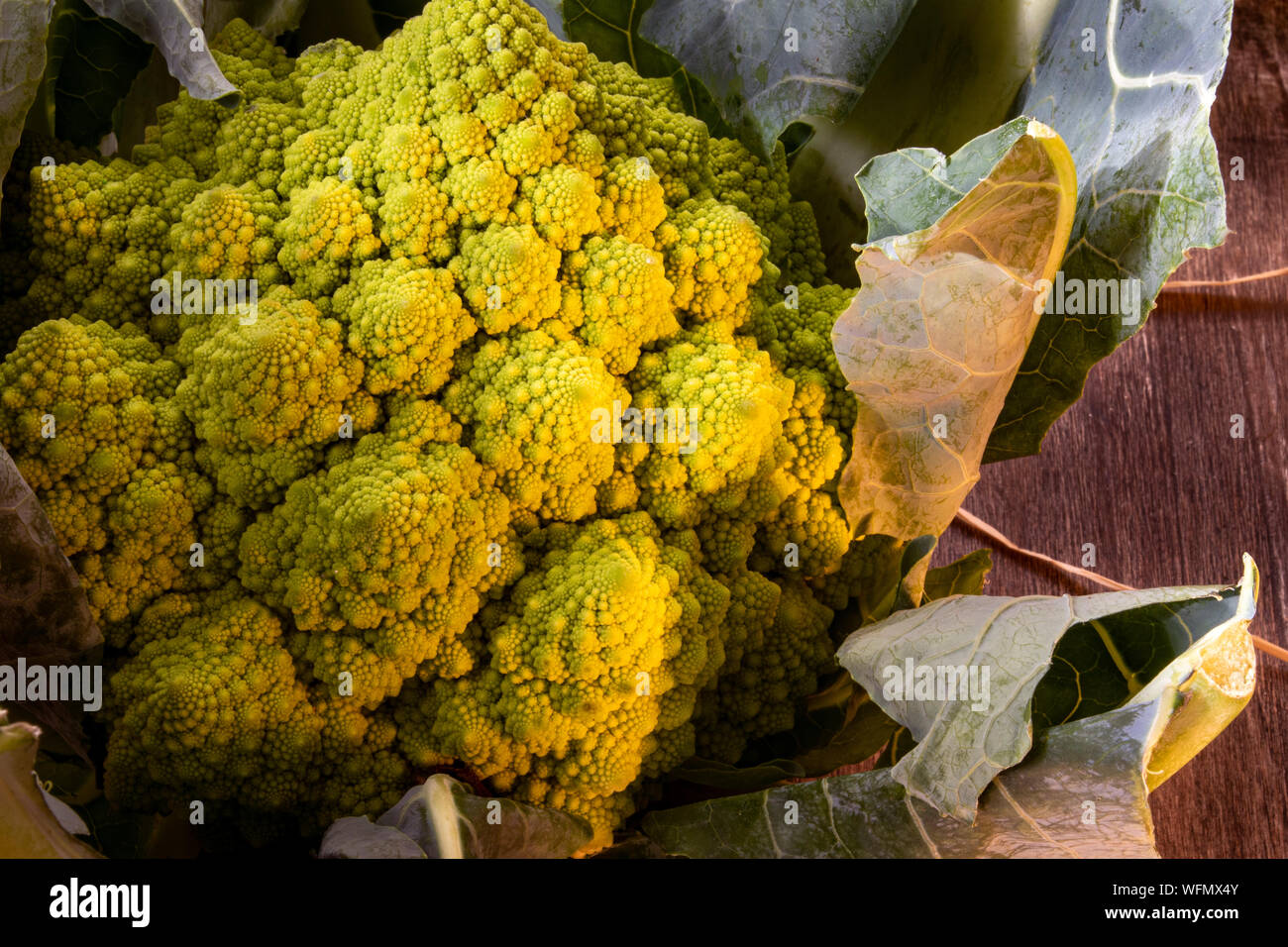 Five a day, healthy lifestyle options. Freshly picked vegetables straight out of the ground and collected. Stock Photo