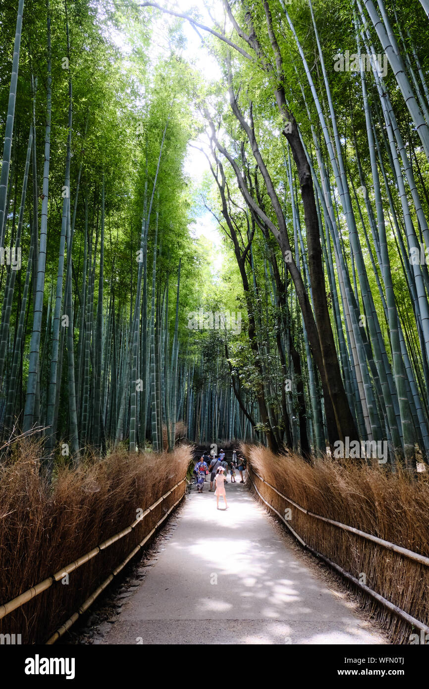 Tourists walk along a pathway through the Sagano bamboo grove in