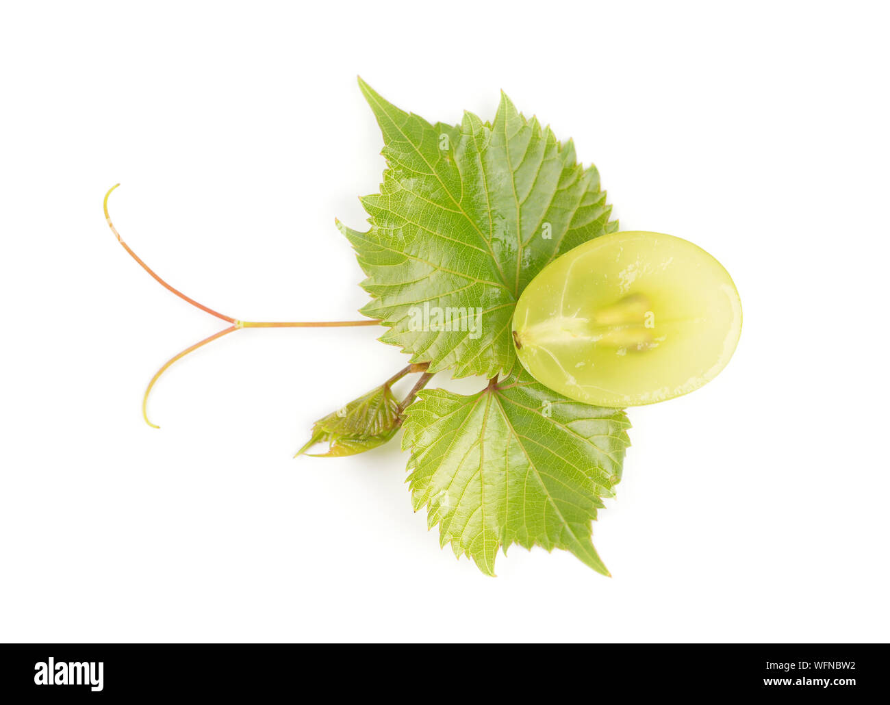 Green grape with leaves isolated on white background Stock Photo - Alamy