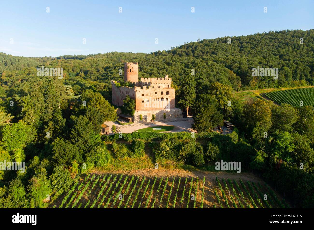 France, Bas Rhin, Alsace Wine Road, Kintzheim Castle (aerial view Stock  Photo - Alamy