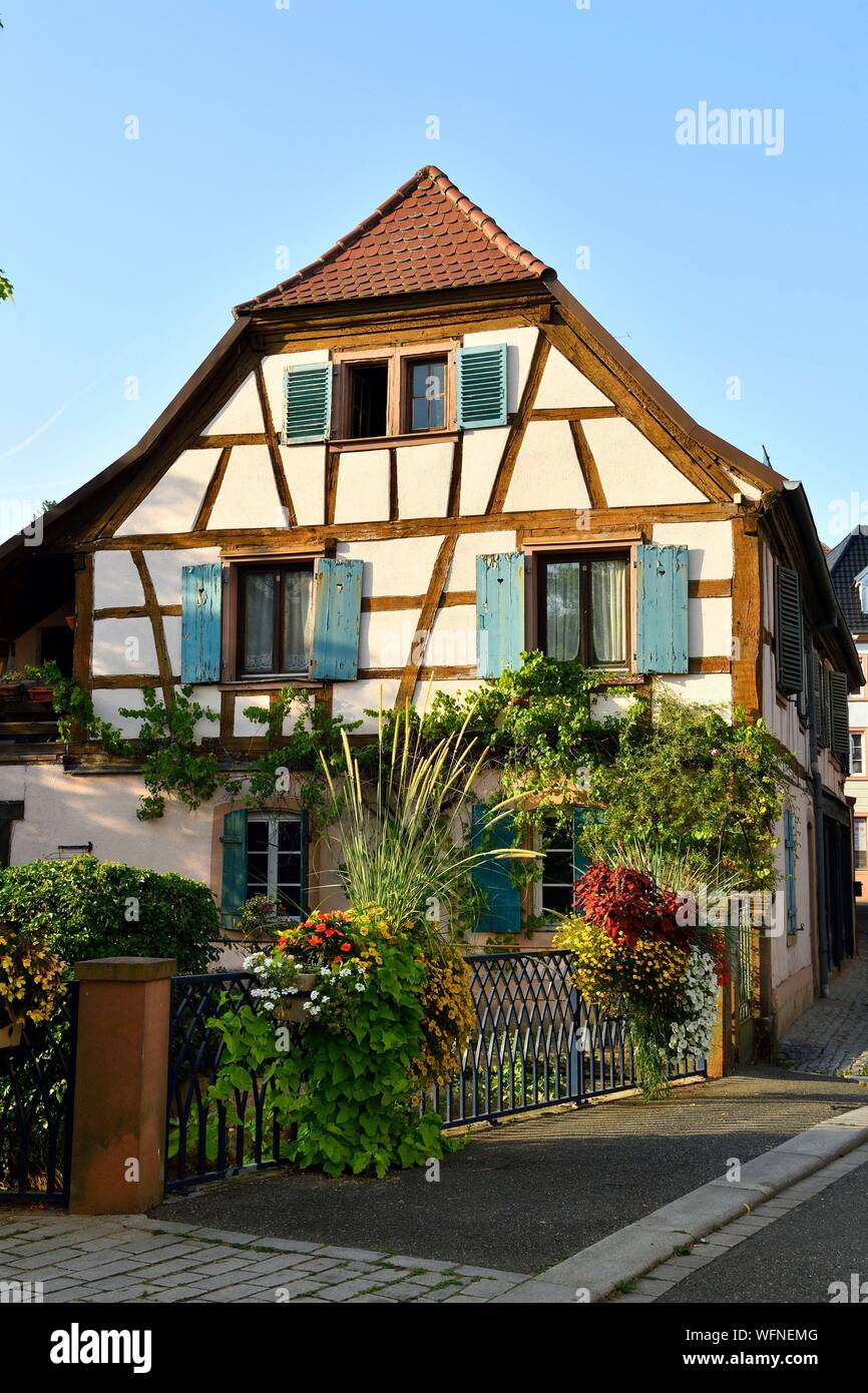 France Bas Rhin Niederbronn Les Bains Falkensteinerbach River Stock