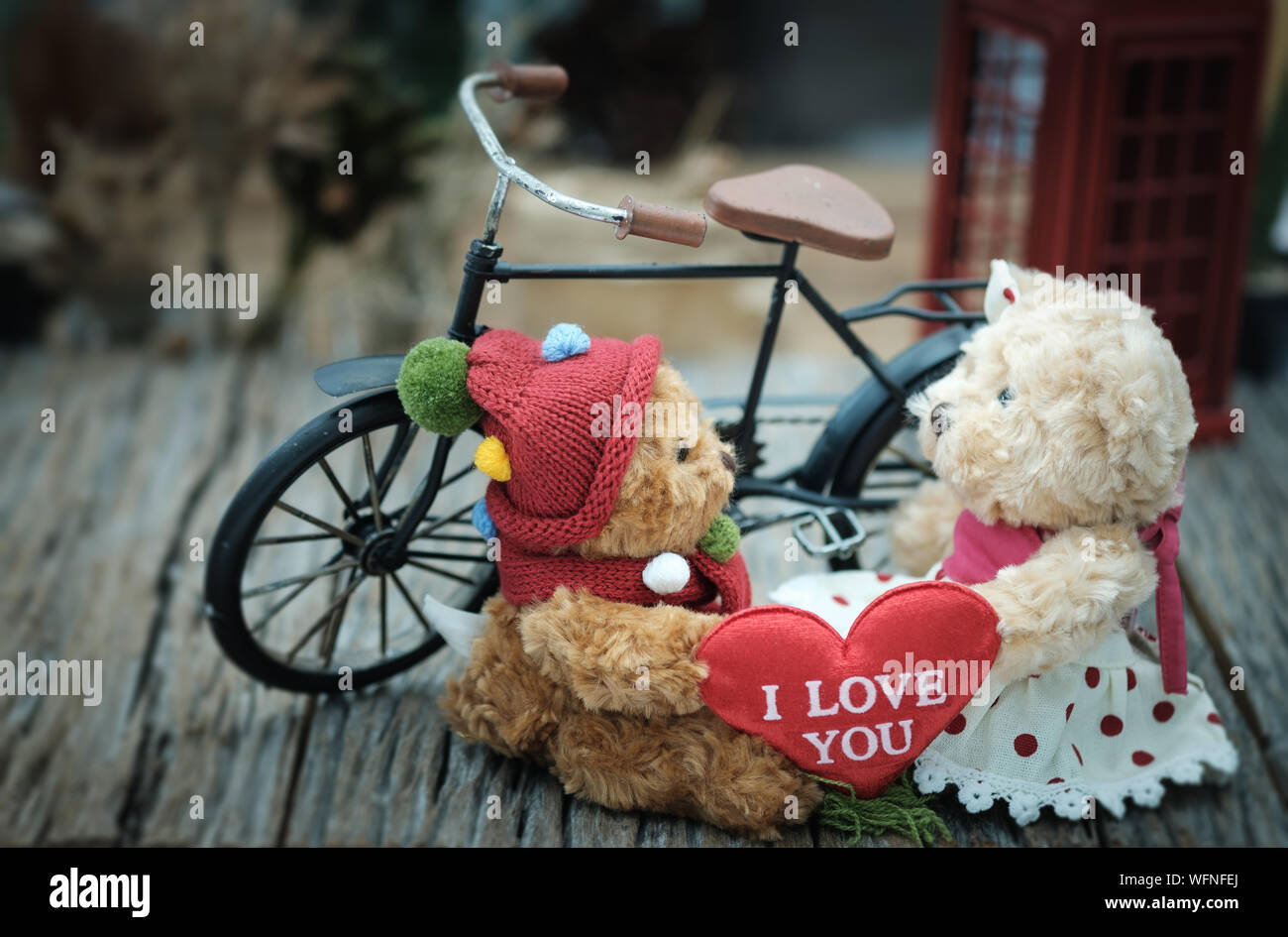teddy girlfriend