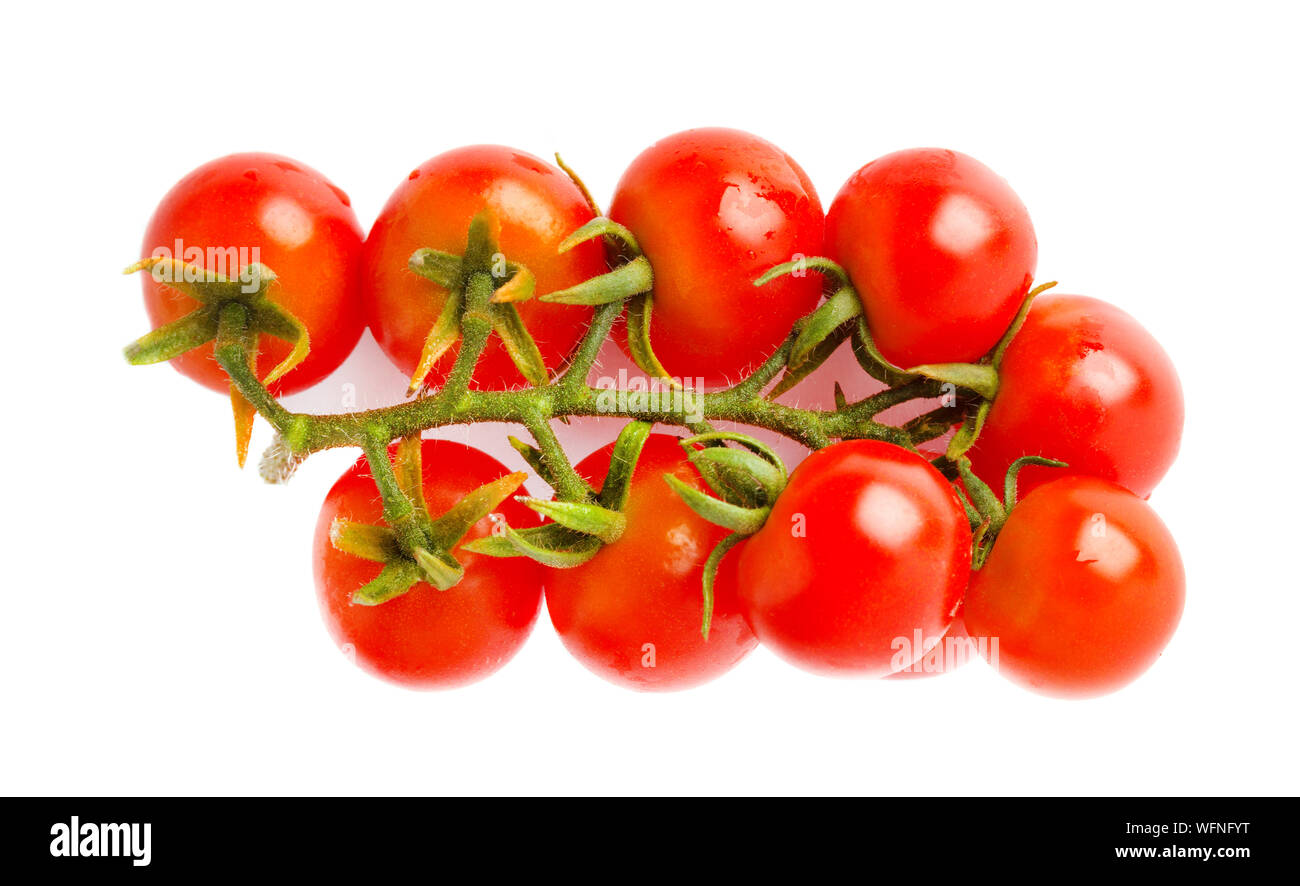 Branch of cherry tomatoes isolated on white background Stock Photo - Alamy