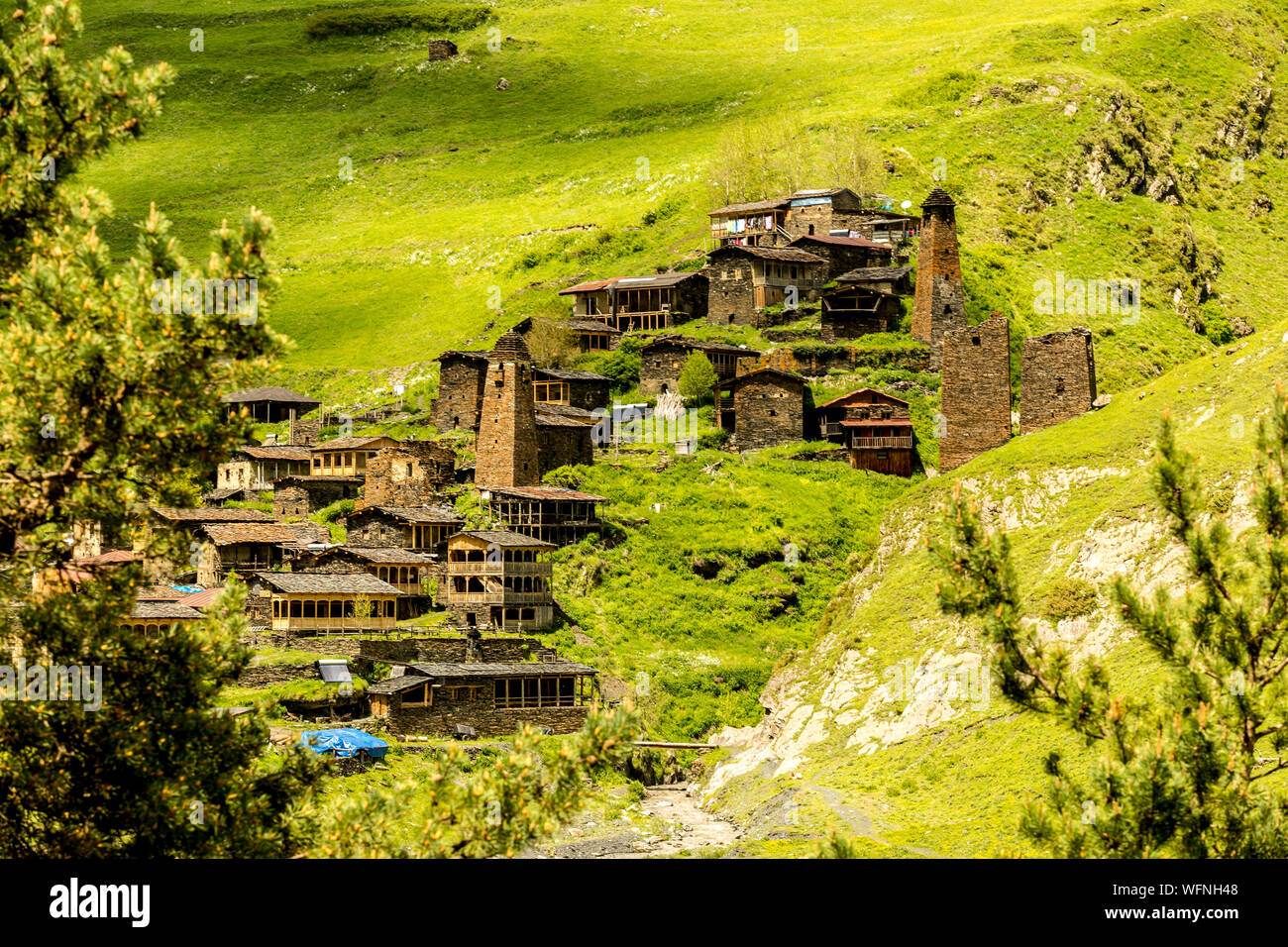 TRADMAN'S × OLD MOUNTAIN GARAKUDA TRADMAN'S × OLD MOUNTAIN GARAKUDA