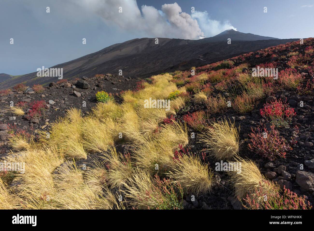 Italy, Sicily, Mount Etna Regional Nature Park, Mount Etna, UNESCO World Heritage Site, North Slope Stock Photo