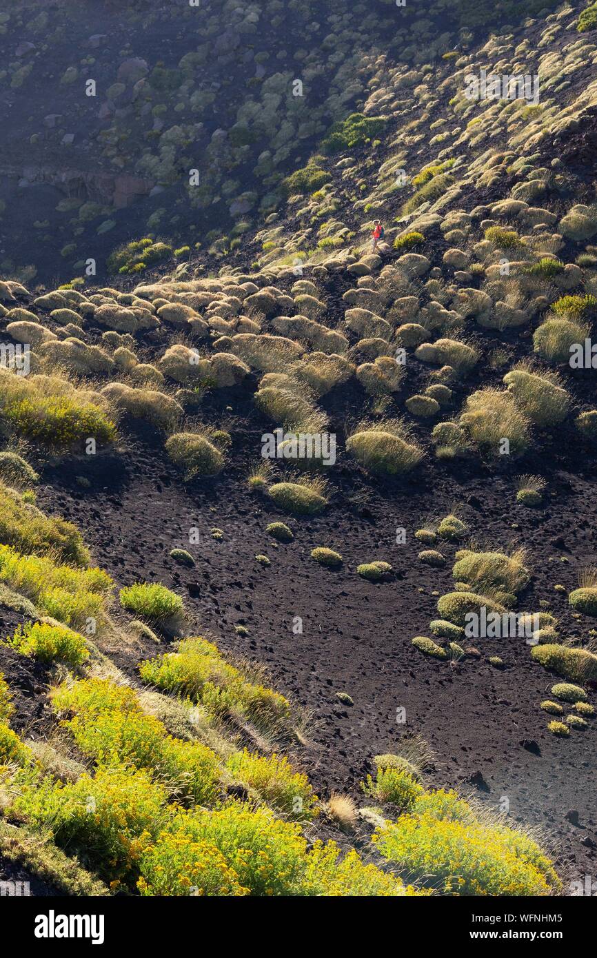 Italy, Sicily, Mount Etna Regional Nature Park, Mount Etna, UNESCO World Heritage Site, North Slope, Pads of Astragalus siculus, endemic species of Etna, woman practicing hiking Stock Photo