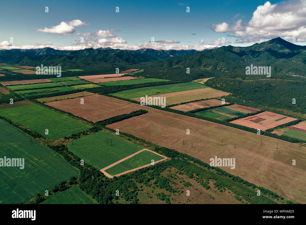 Rice fields wide angle view hi-res stock photography and images - Alamy