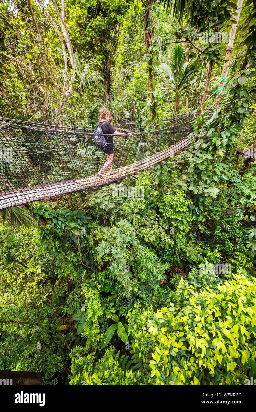 France Caribbean Lesser Antilles Guadeloupe Basse Terre Bouillante Parc Des Mamelles Guadeloupe Zoo Canopy Trek Stock Photo Alamy France Caribbean Lesser Antilles Guadeloupe Basse Terre Bouillante Parc Des Mamelles Guadeloupe Zoo Canopy Trek Stock Photo Alamy
