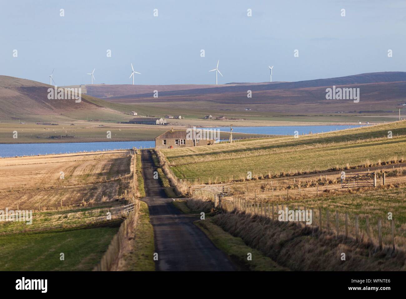 United Kingdom, Scotland, Orkney Islands, Mainland, Birsay Bay, country road and pastures Stock Photo