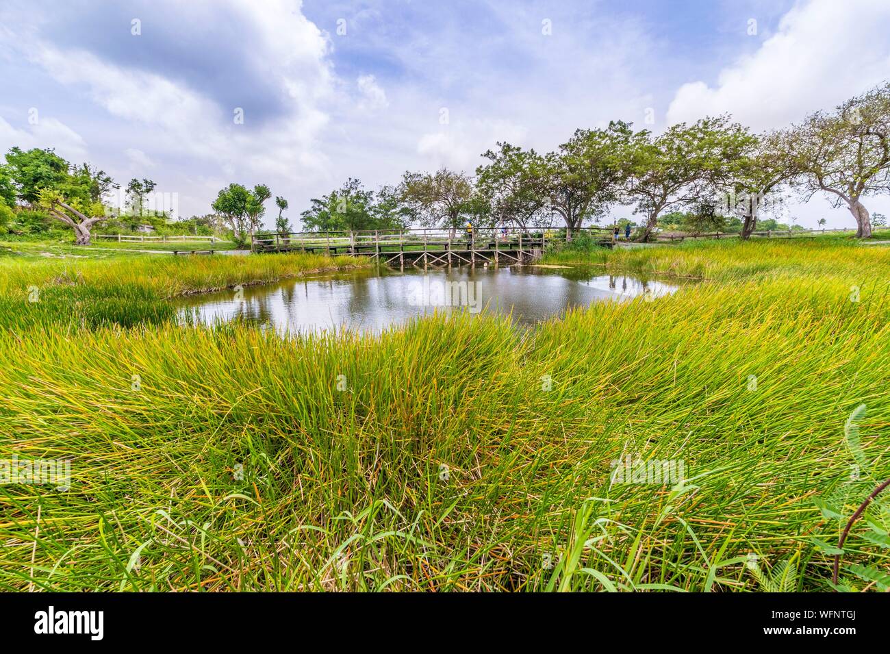 France, Caribbean, Lesser Antilles, Guadeloupe, Marie-Galante, Grand-Bourg, The Punch Pond, historical site named after the events of 24 and 25 June 1849, during the first participation in the legislative elections of former slaves, while the population protests against the fraudulent attempts of the planters, dozens of new freedmen are killed, revolted, they loot, burn down the Habitation Pirogue, then pour into the pool nearby all the rum and sugar of the house to make a gigantic punch Stock Photo